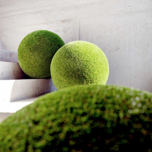 Tisca_Ball-5